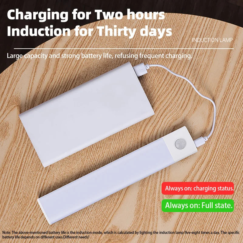 Motion Sensor Light